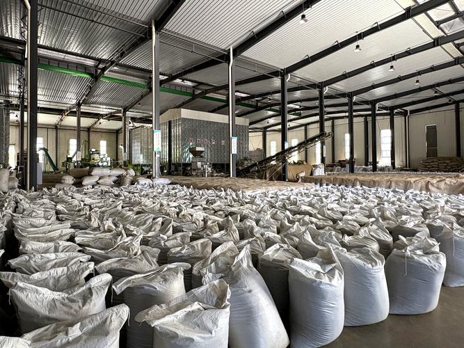 夷陵 小茶厂的除尘“妙计”与茶叶品质的生死博弈